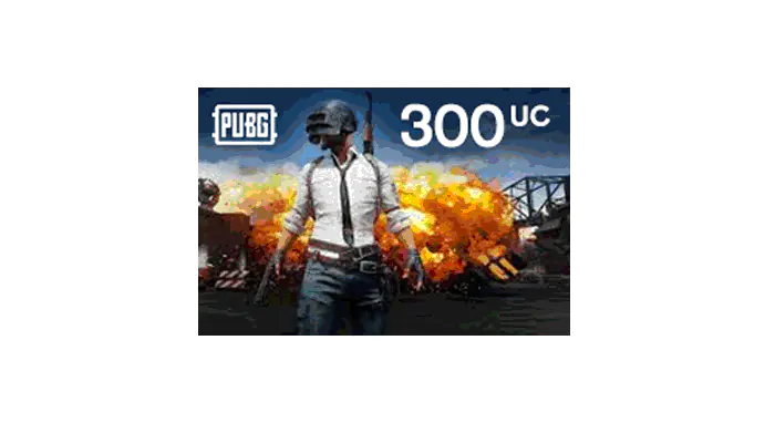 Buy Pubg Card 300+ Free 25 UC Cheap, Fast, Safe & Secured | EasyPayForNet