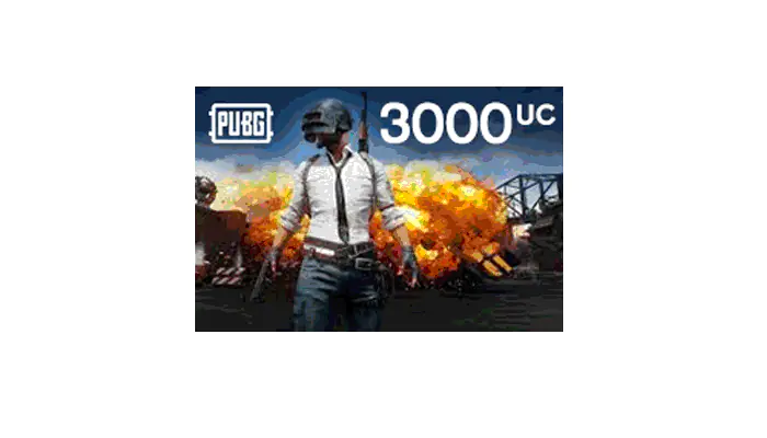 Buy Pubg Card 3000+ Free 850 UC with OPay | EasyPayForNet
